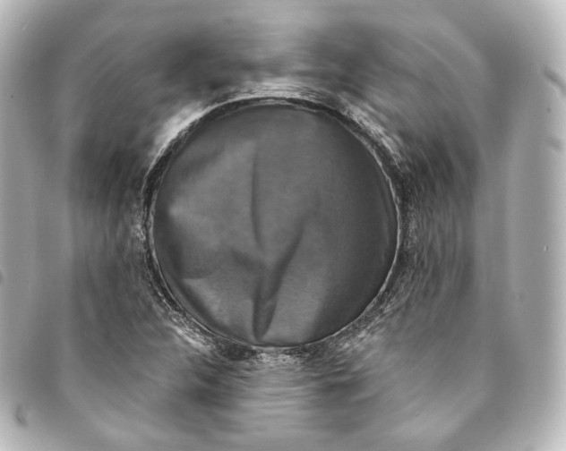 X0000095551312200712281557