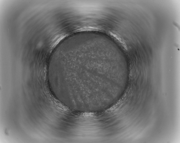 X0000095551313200712281557