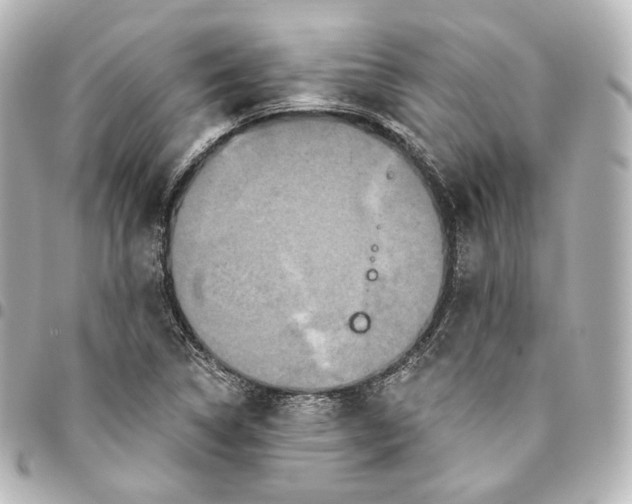 X0000095551314200712281557