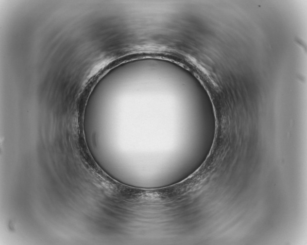 X0000095551315200712281557