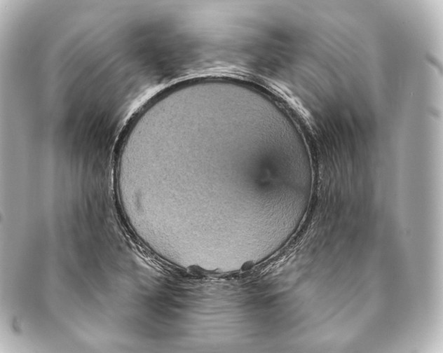 X0000095551316200712281557