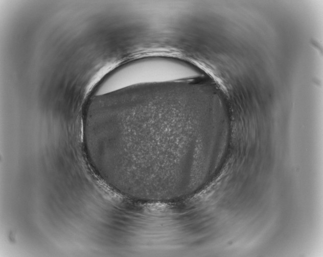 X0000095551317200712281557