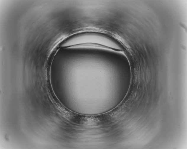 X0000095551318200712281557