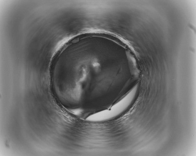 X0000095551319200712281557