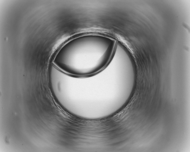 X0000095551320200712281557