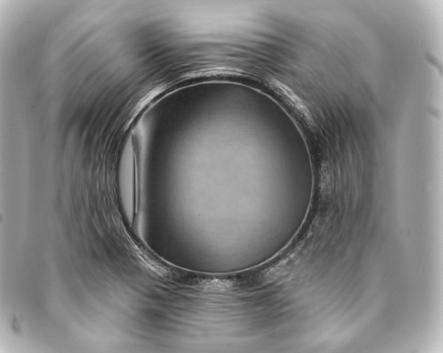 X0000095551321200712281557