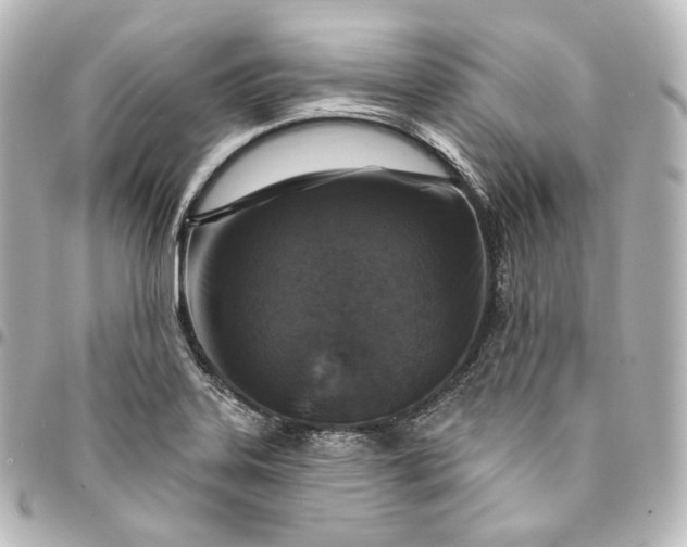 X0000095551323200712281558