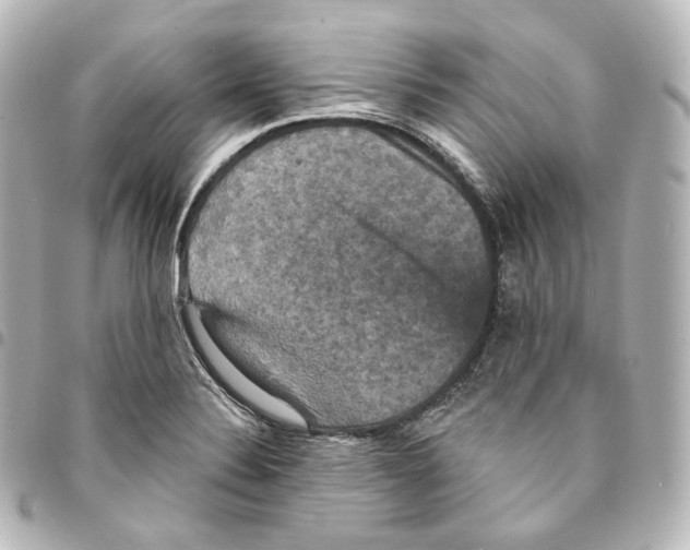 X0000095551324200712281558