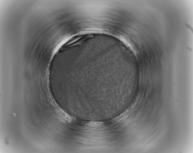 X0000095551325200712281558