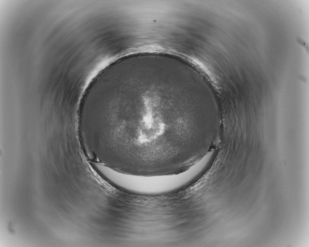 X0000095551326200712281558