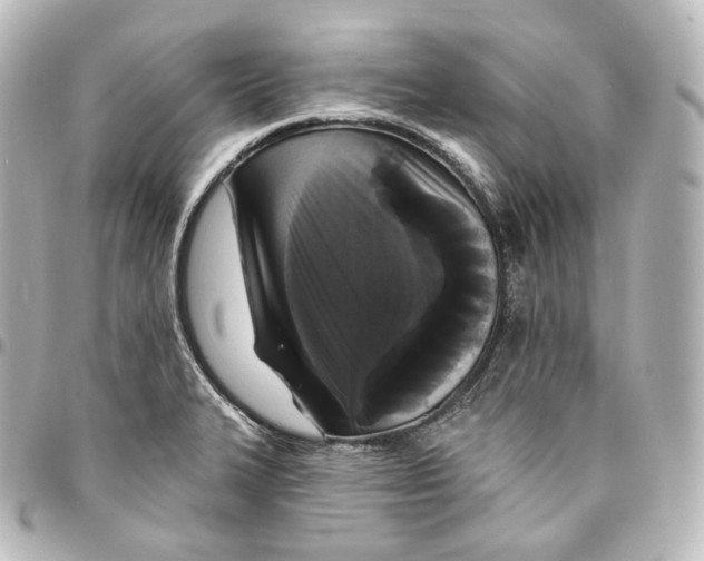 X0000095551327200712281558