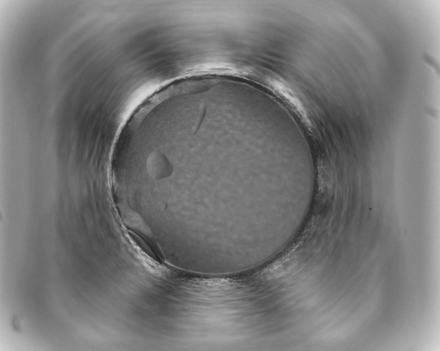 X0000095551328200712281558