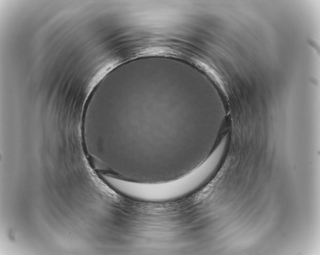 X0000095551330200712281558