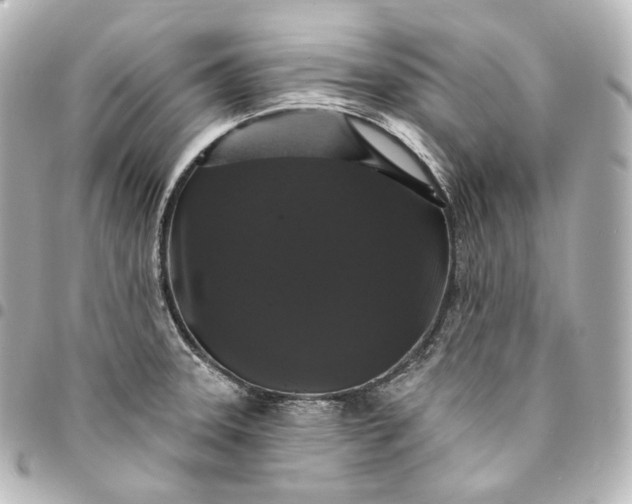 X0000095551331200712281558