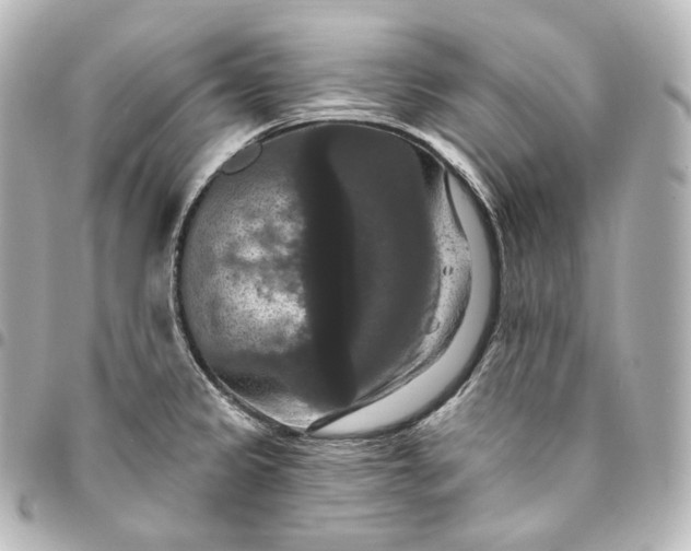 X0000095551333200712281558