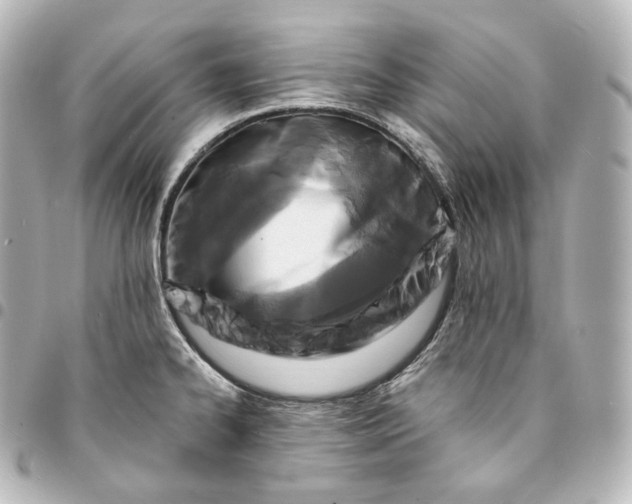 X0000095551334200712281558