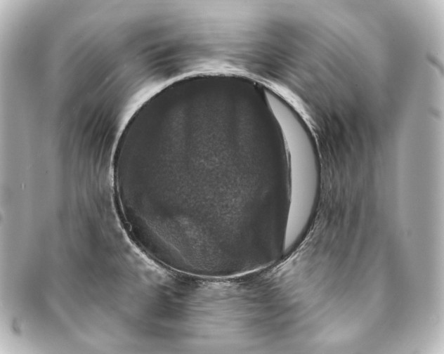 X0000095551335200712281558