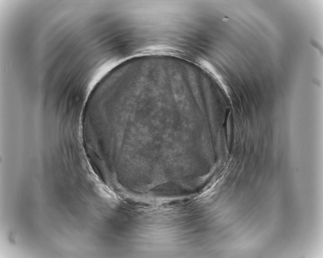 X0000095551336200712281558