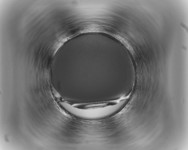 X0000095551337200712281558