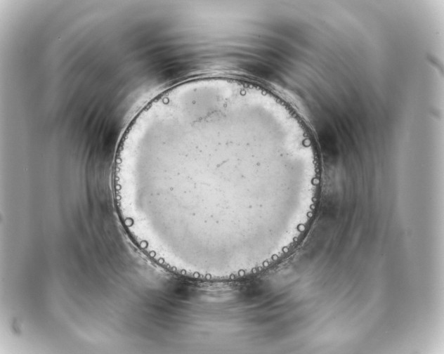 X0000095551338200712281558