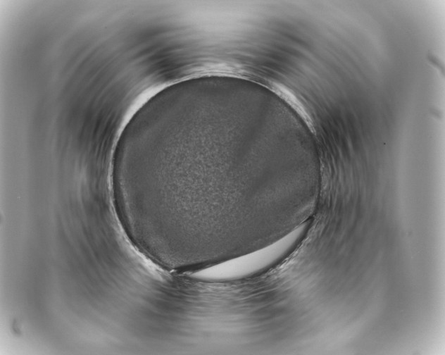 X0000095551339200712281558