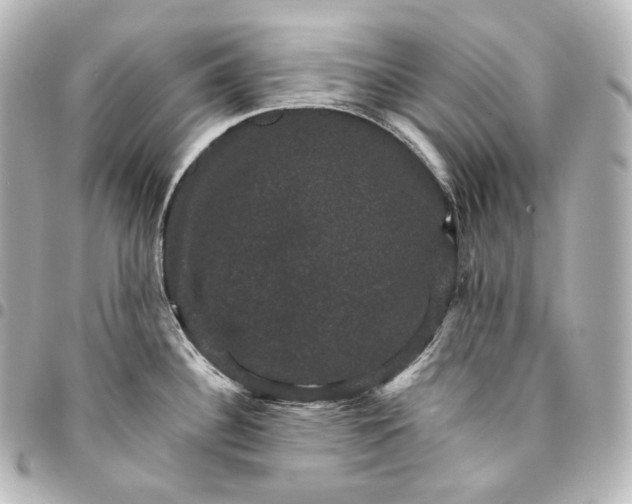 X0000095551340200712281558