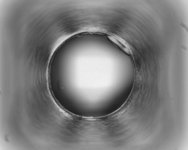 X0000095551343200712281558