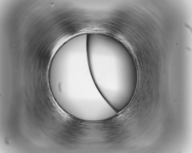 X0000095551344200712281558