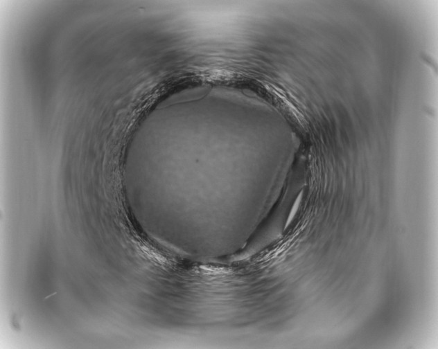 X0000095551345200712281557