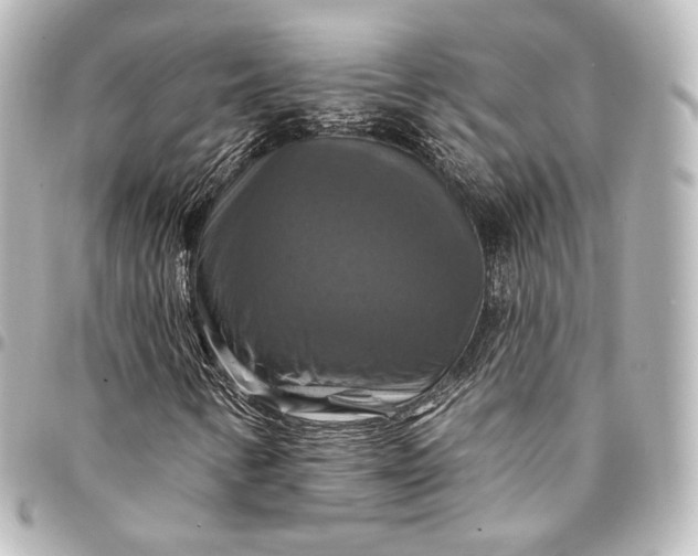 X0000095551346200712281557