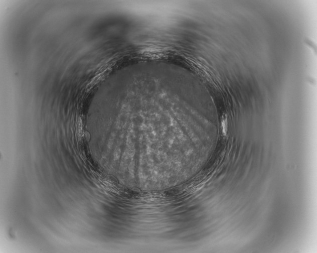 X0000095551347200712281557