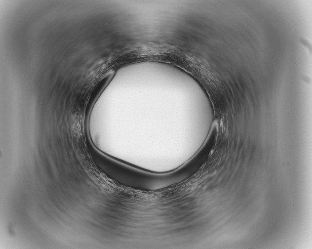 X0000095551348200712281557