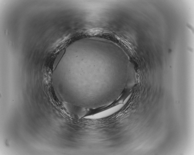 X0000095551349200712281557