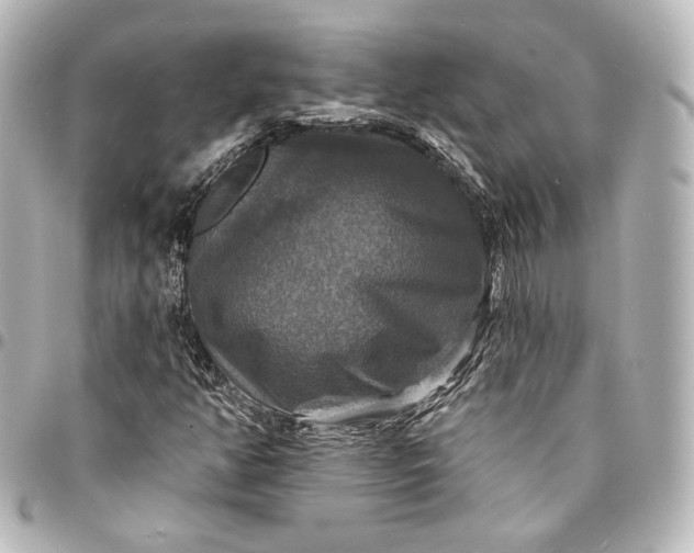 X0000095551350200712281557