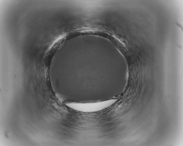 X0000095551351200712281557