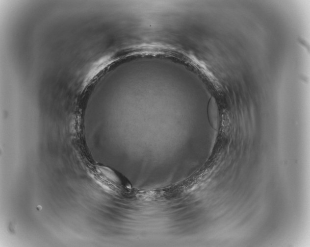 X0000095551352200712281557