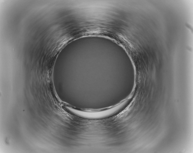 X0000095551353200712281557