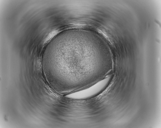 X0000095551354200712281557