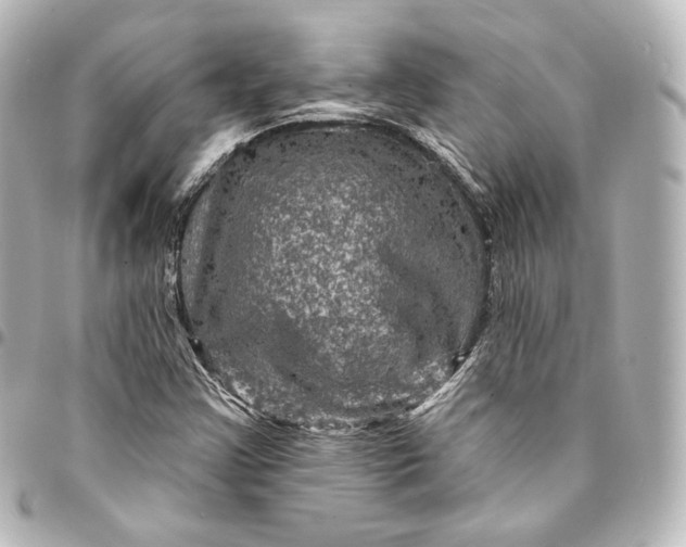 X0000095551355200712281557