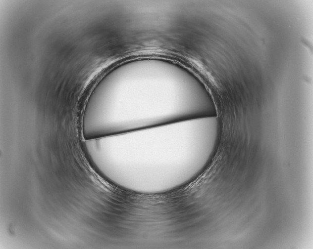 X0000095551356200712281557