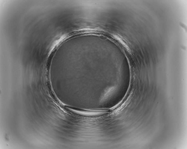 X0000095551357200712281557