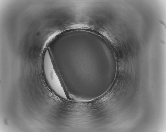 X0000095551358200712281557