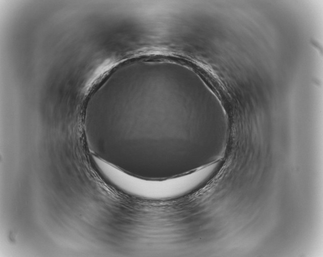 X0000095551359200712281557