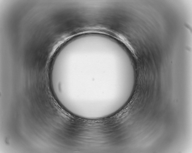 X0000095551360200712281557