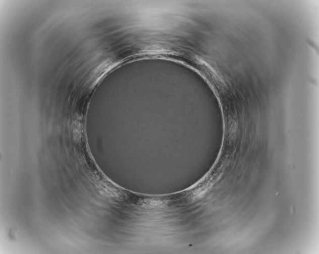 X0000095551361200712281557