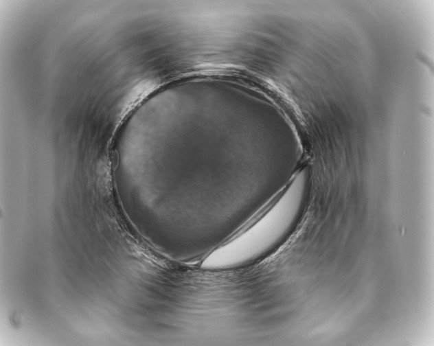 X0000095551362200712281557