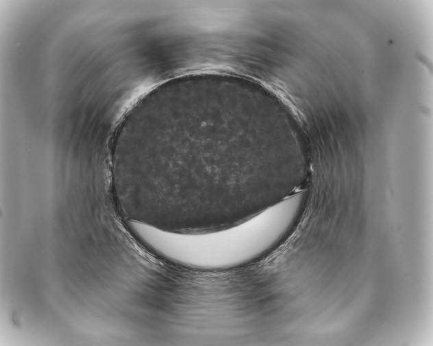 X0000095551363200712281557