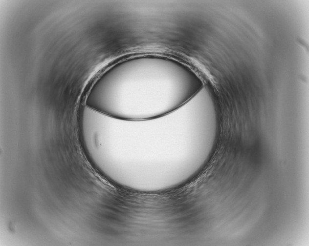 X0000095551364200712281557