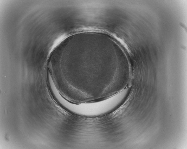 X0000095551365200712281557