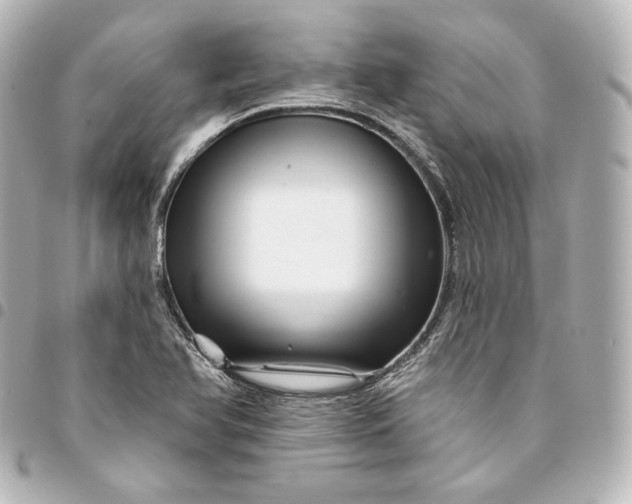 X0000095551366200712281557